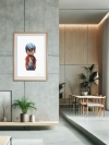 JORDAN - Lost Paradise - Editions - CASA