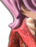 NEO Foto 5 - Originals - Lost Paradise - Giovanni Motta